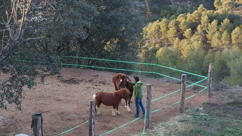Masia Casajoana Rural Rellinars Buitenkant foto