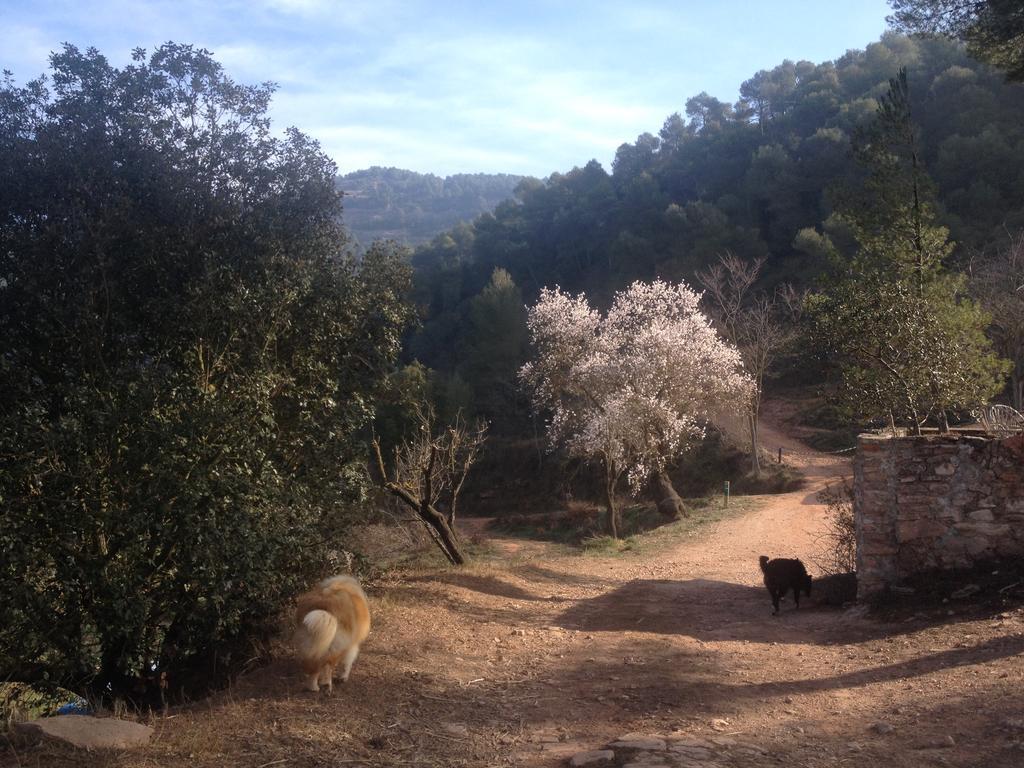 Masia Casajoana Rural Rellinars Buitenkant foto