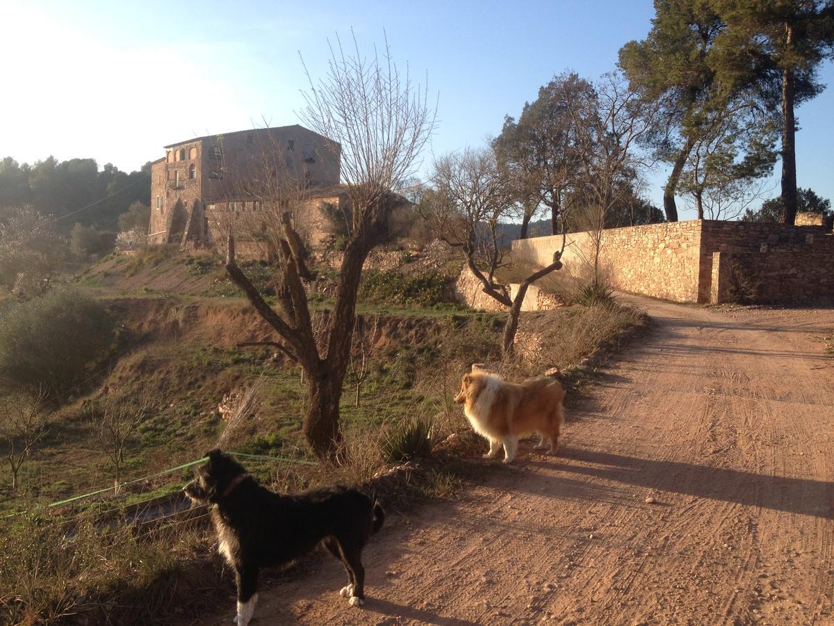 Masia Casajoana Rural Rellinars Buitenkant foto