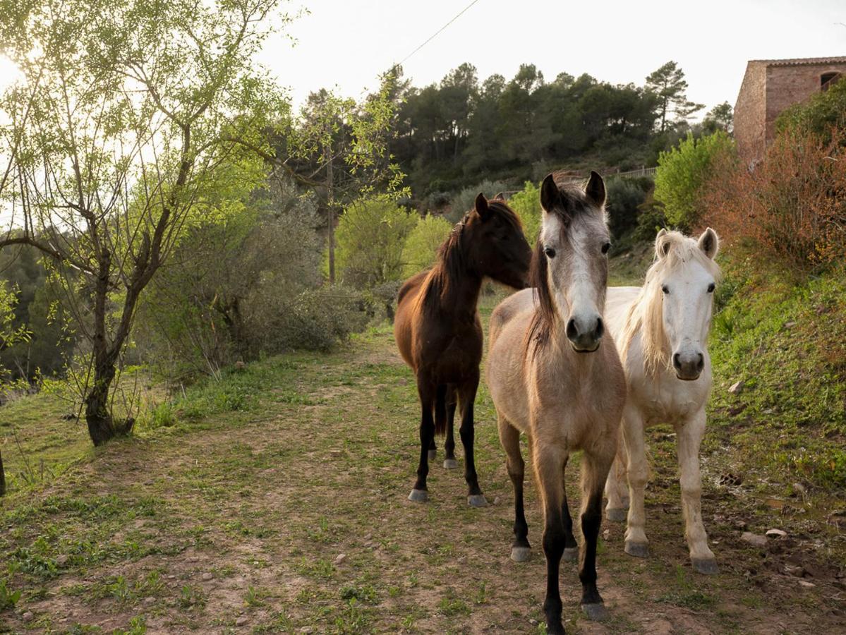 Masia Casajoana Rural Rellinars Buitenkant foto